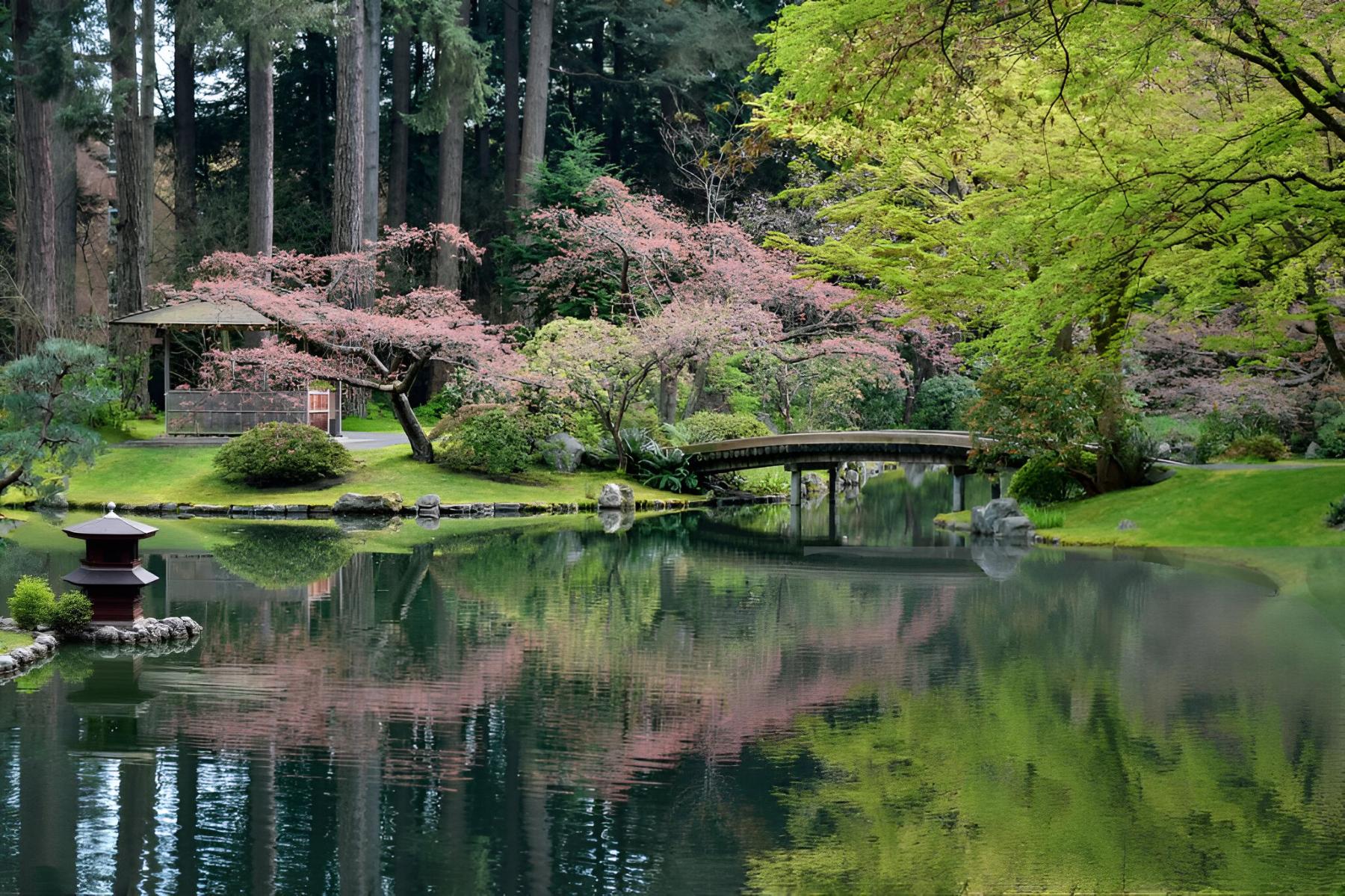 Jardinería Bonsái, S.L., jardinería y paisajismo en Fuenlabrada
